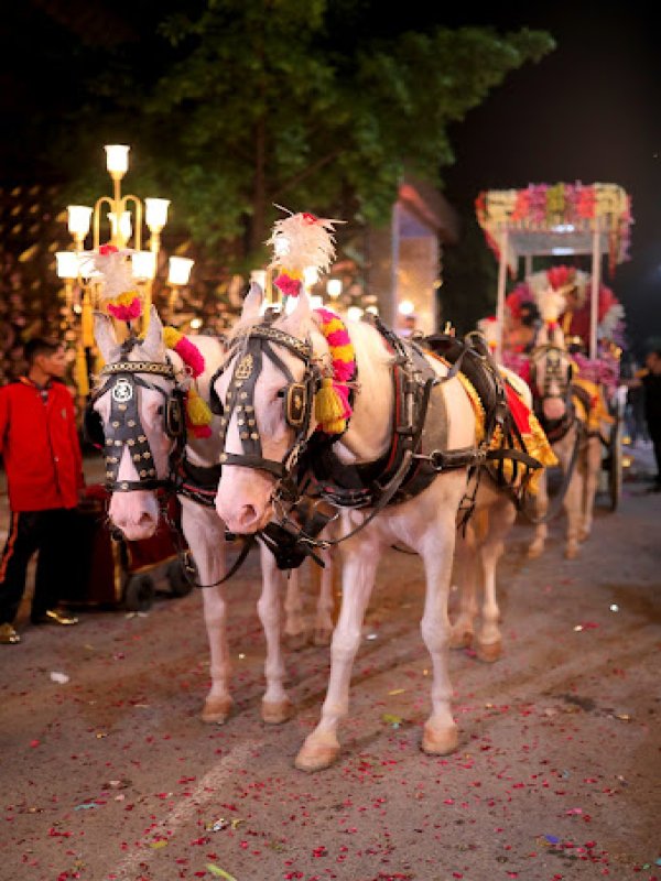 Sindhi Hira Nand Ghori Wala